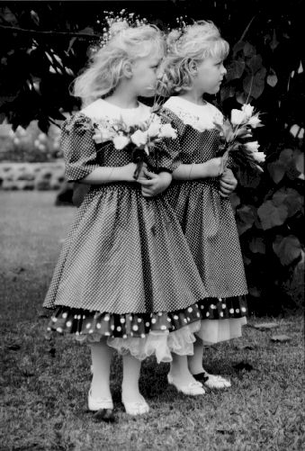 twins.jpg (47991 bytes)